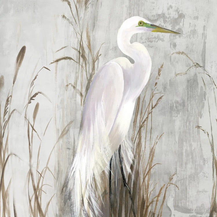 Heron in the Reeds