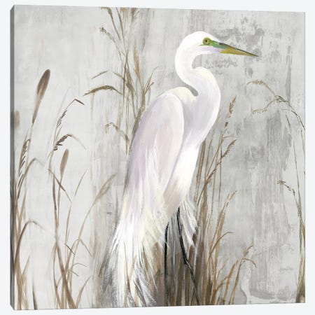 Heron in the Reeds Canvas Print #AWI471} by Aimee Wilson Canvas Print