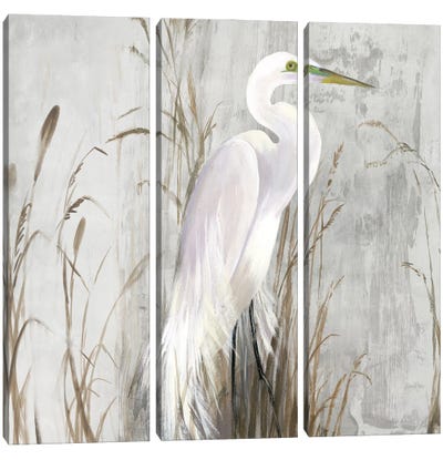 Heron in the Reeds Canvas Art Print - 3-Piece Animal Art