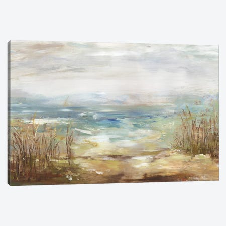 Parting Shores Canvas Print #AWI472} by Aimee Wilson Canvas Art Print