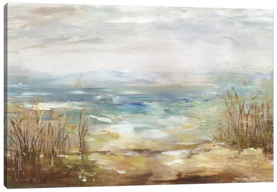 Parting Shores Canvas Art Print - Large Coastal Art