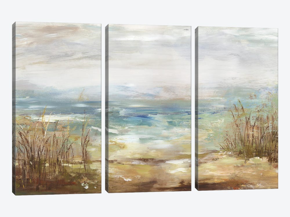 Parting Shores by Aimee Wilson 3-piece Art Print
