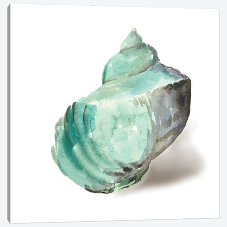 Shell in Mint Canvas Print #AWI476} by Aimee Wilson Canvas Wall Art