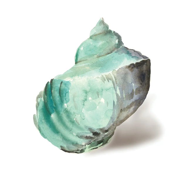 Sea Shells: Shell in Mint by Aimee Wilson