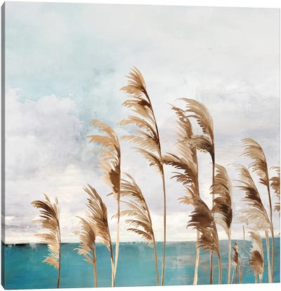 Summer Wind II Canvas Art Print - Aimee Wilson