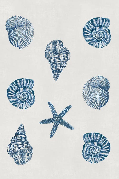 Indigo Shells