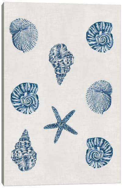 Indigo Shells Canvas Art Print - Authentic Eclectic