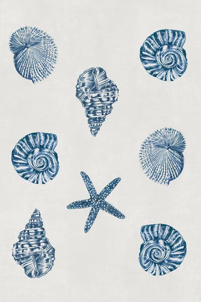 Starfish: Indigo Shells by Aimee Wilson