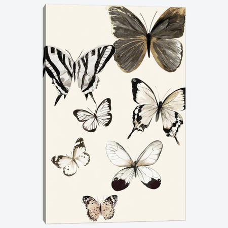 Butterflies Fly I Canvas Print #AWI507} by Aimee Wilson Canvas Art