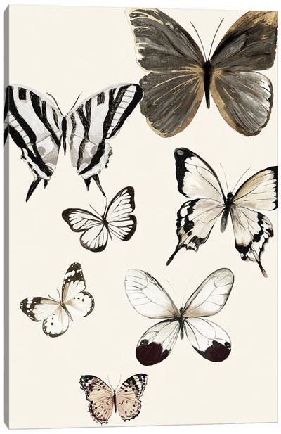 Butterflies Fly I Canvas Art Print - Aimee Wilson