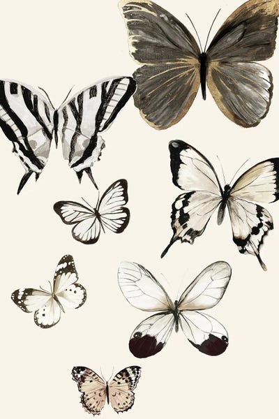 Aimee Wilson: Butterflies Fly I by Aimee Wilson