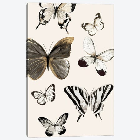 Butterflies Fly II Canvas Print #AWI508} by Aimee Wilson Canvas Art Print