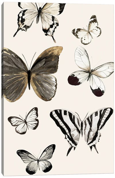 Butterflies Fly II Canvas Art Print - Aimee Wilson