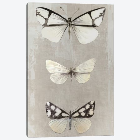 Delicate Butterflies I Canvas Print #AWI509} by Aimee Wilson Canvas Art Print