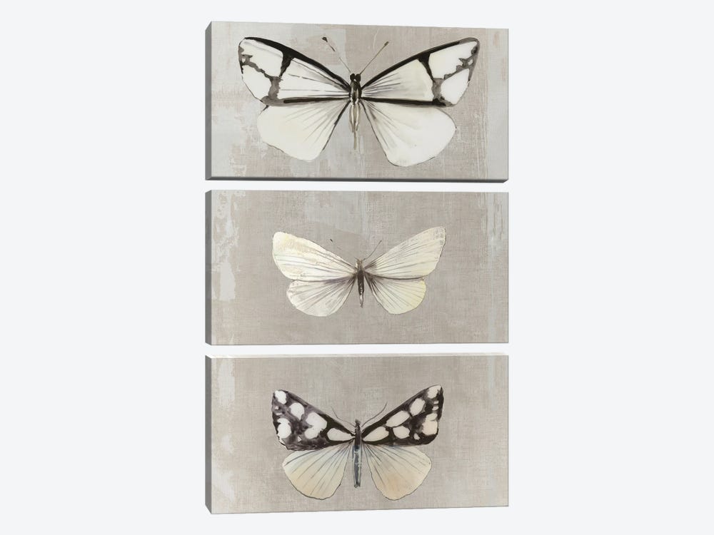 Delicate Butterflies I by Aimee Wilson 3-piece Canvas Wall Art