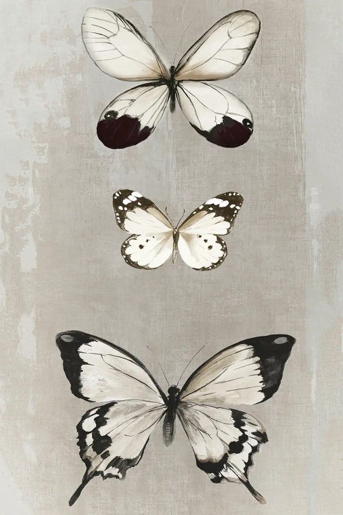 Delicate Butterflies II