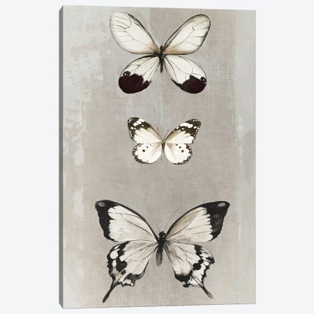 Delicate Butterflies II Canvas Print #AWI510} by Aimee Wilson Canvas Artwork