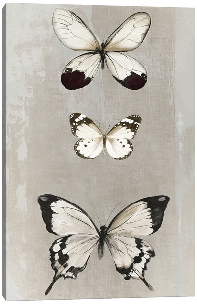 Delicate Butterflies II Canvas Art Print - Aimee Wilson