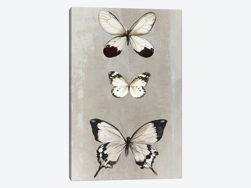 Delicate Butterflies II by Aimee Wilson 1-piece Canvas Art