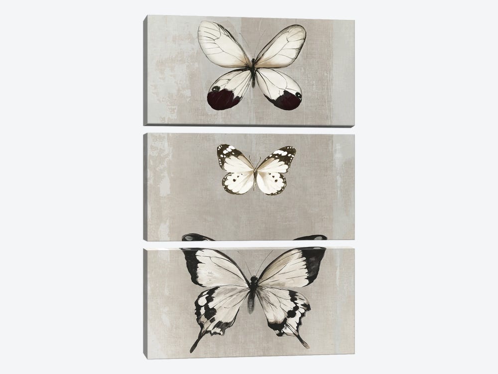 Delicate Butterflies II by Aimee Wilson 3-piece Canvas Artwork