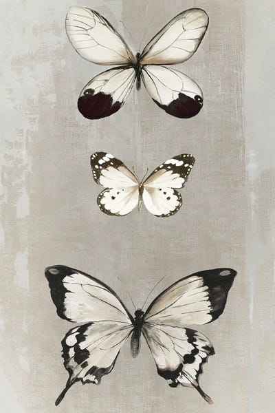 Aimee Wilson: Delicate Butterflies II by Aimee Wilson