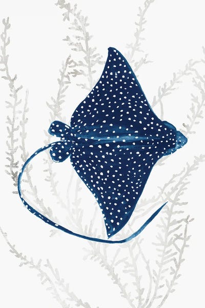 Coral: Blue Stingray I by Aimee Wilson
