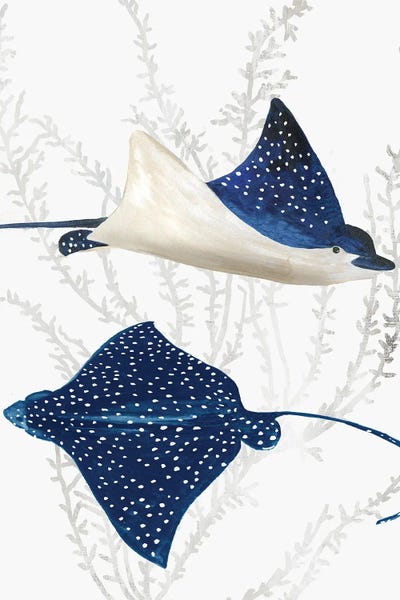 Lakehouse Décor: Blue Stingray II by Aimee Wilson
