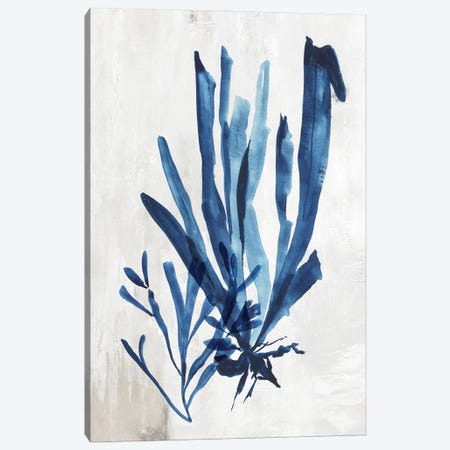 Coral Plant III Canvas Print #AWI520} by Aimee Wilson Canvas Print