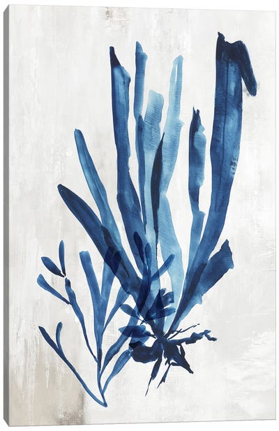 Coral Plant III Canvas Art Print - Lakehouse Décor