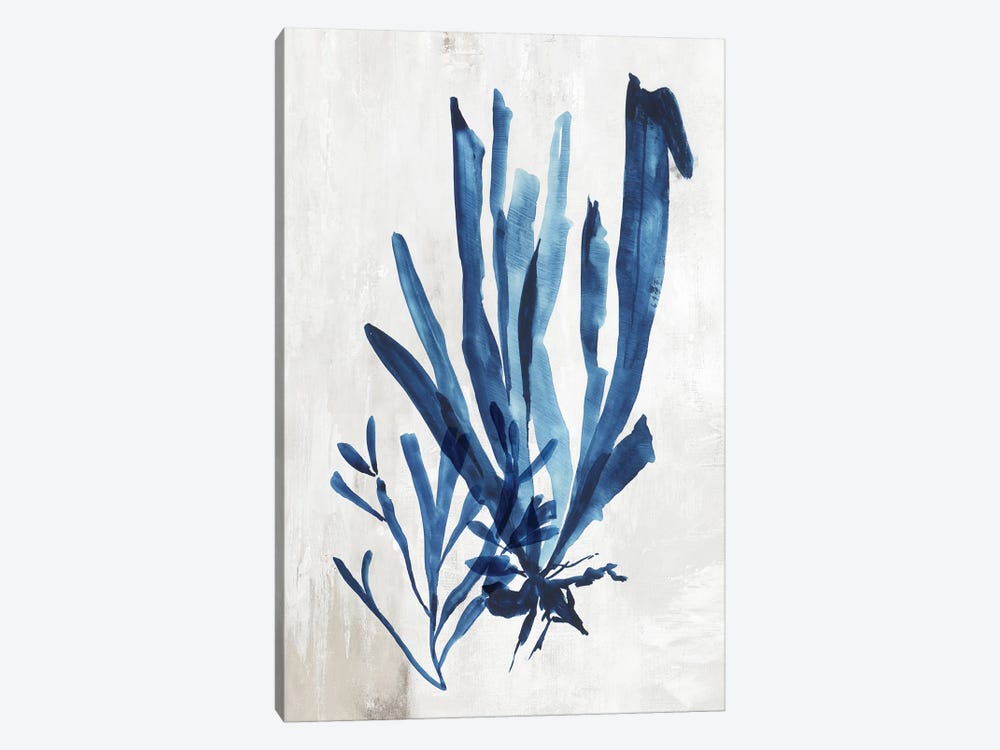 Coral Plant III by Aimee Wilson 1-piece Canvas Print