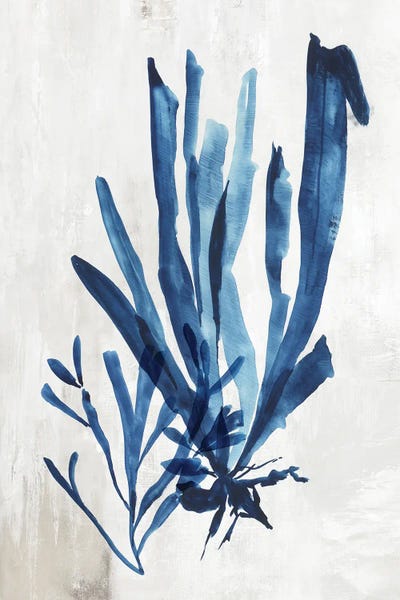 Aimee Wilson: Coral Plant III by Aimee Wilson
