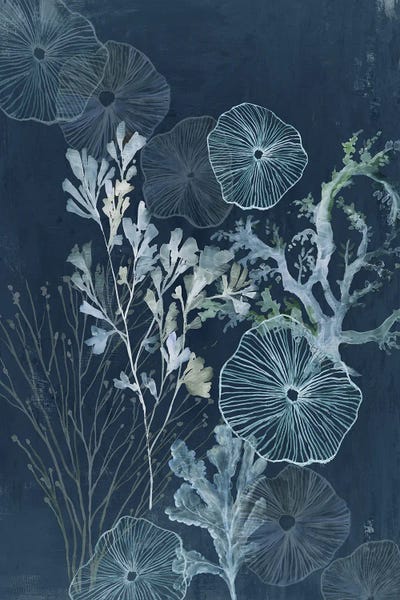Ethereal Sea Treasures by Aimee Wilson canvas print