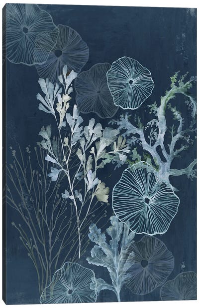 Ethereal Sea Treasures Canvas Art Print