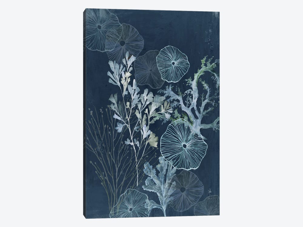 Ethereal Sea Treasures by Aimee Wilson 1-piece Art Print