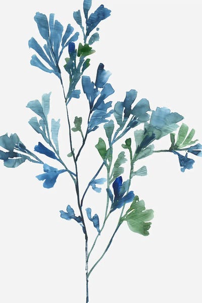 Coral: Reef Reverie I by Aimee Wilson