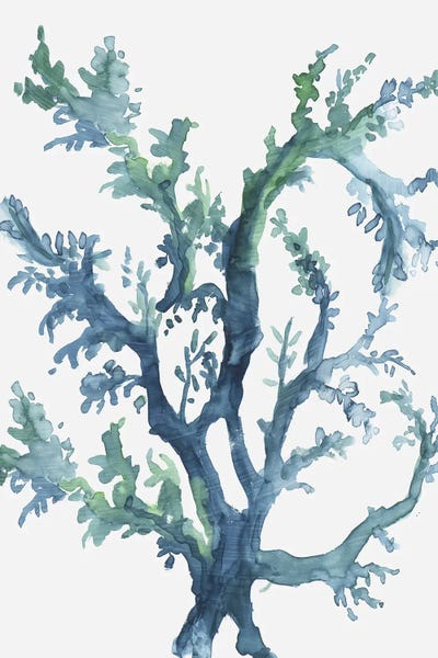 Coral: Reef Reverie II by Aimee Wilson