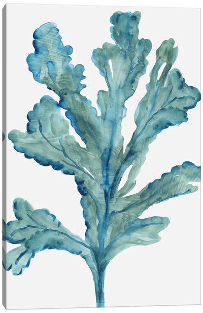 Reef Reverie III Canvas Art Print - Turquoise Art