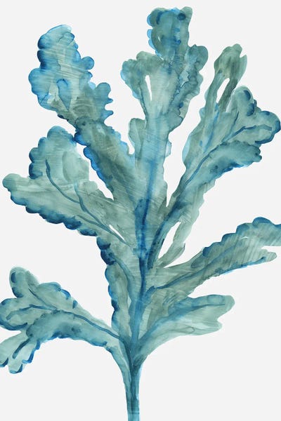 Coral: Reef Reverie III by Aimee Wilson