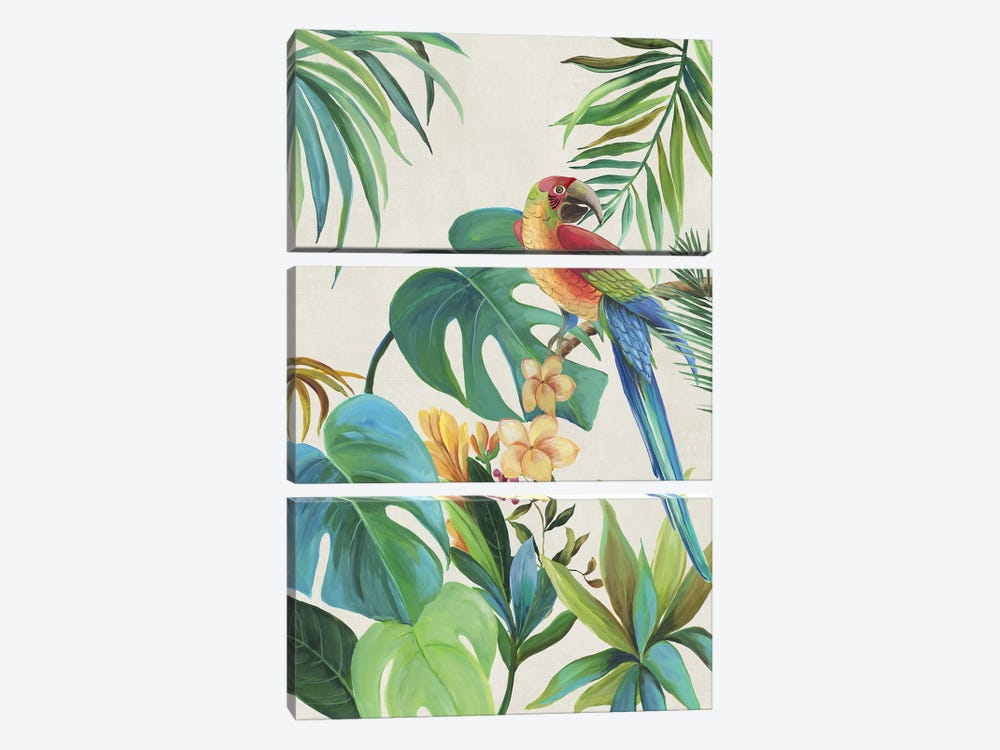Tropical Parrot II by Aimee Wilson 3-piece Art Print