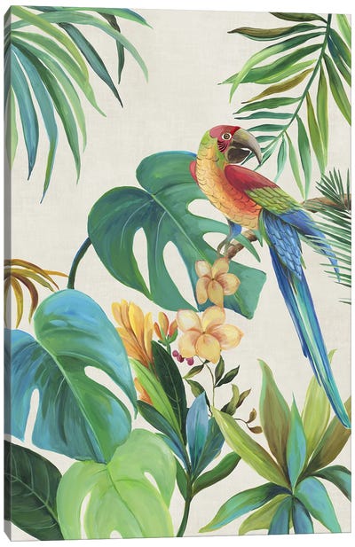 Tropical Parrot II Canvas Art Print