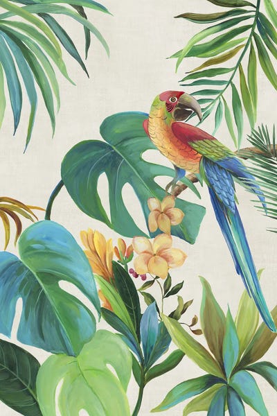Aimee Wilson: Tropical Parrot II by Aimee Wilson