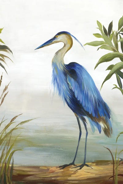 Canvas Print: Blue Heron by Aimee Wilson - thumbnail