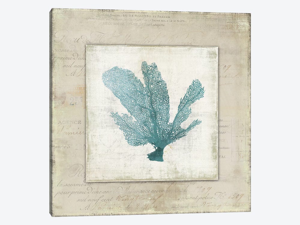 Chambray Coral I by Aimee Wilson 1-piece Canvas Artwork