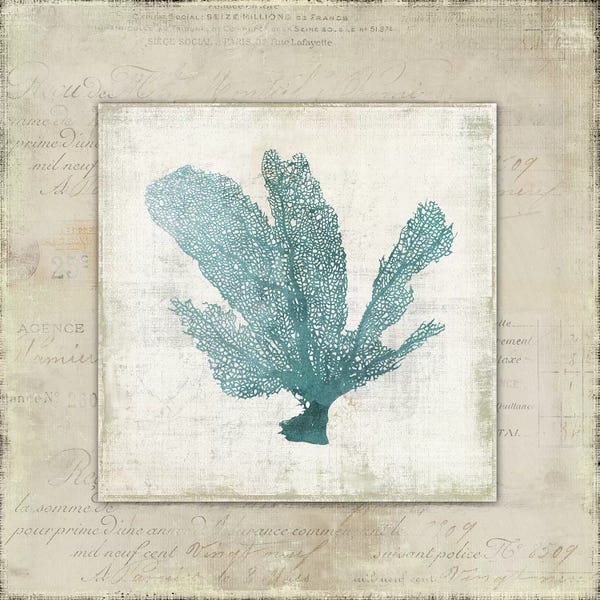 Aimee Wilson: Chambray Coral I by Aimee Wilson