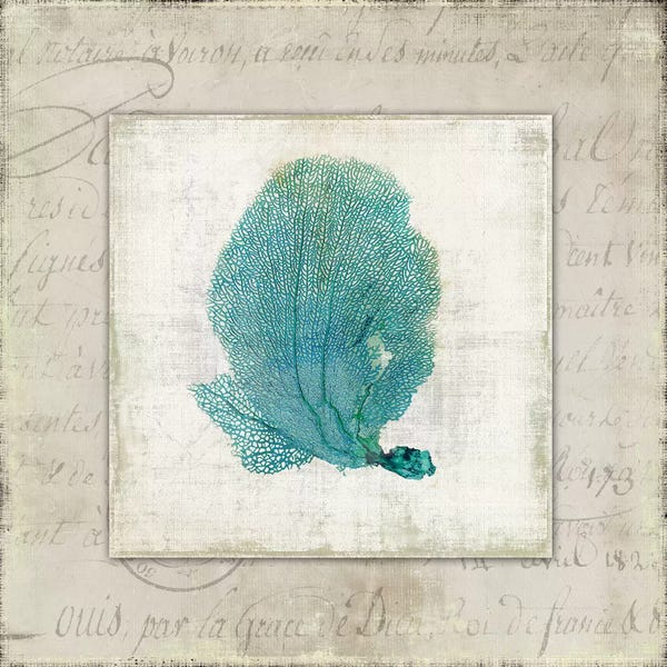 Coral: Chambray Coral II by Aimee Wilson