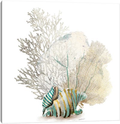 Coral II Canvas Art Print - Decorative Elements