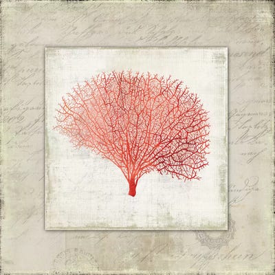 Coral Linen II by Aimee Wilson framed canvas print