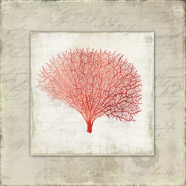 Coral: Coral Linen II by Aimee Wilson