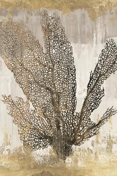 Aimee Wilson: Coral Splendor I by Aimee Wilson
