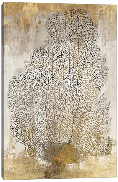 Coral Splendor II Canvas Art Print - Gold & White Art